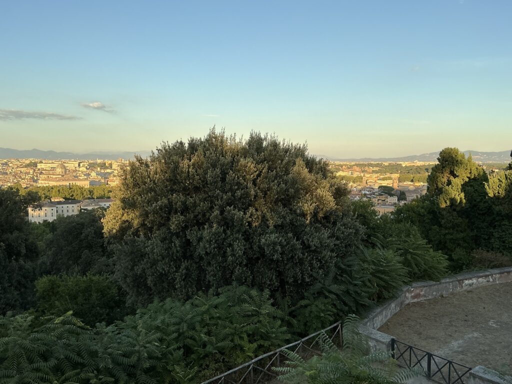 Roma-città (7)